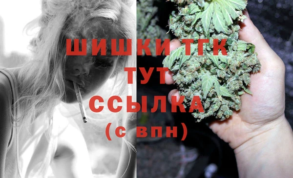 стаф Баксан