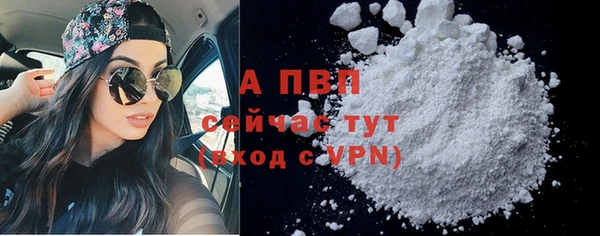 стаф Баксан