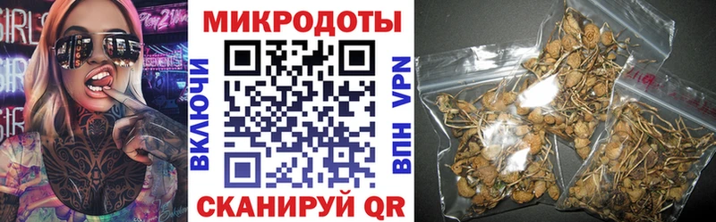 Псилоцибиновые грибы Psilocybe  хочу наркоту  Кунгур 